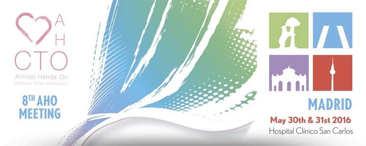 8th AHO Meeting Madrid