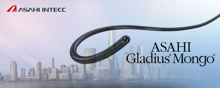Nueva guía PTCA Gladius Mongo ptresentada en CTO Summit 2019 New York