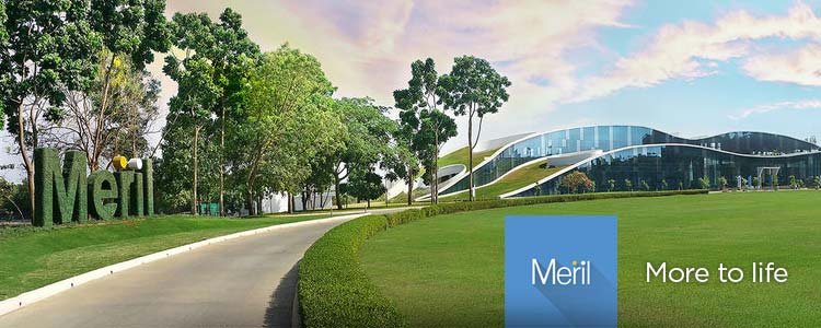 World Medica comercializa los productos de Meril Life Sciences en exclusiva para Portugal